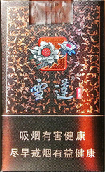 盛唐（硬红新）